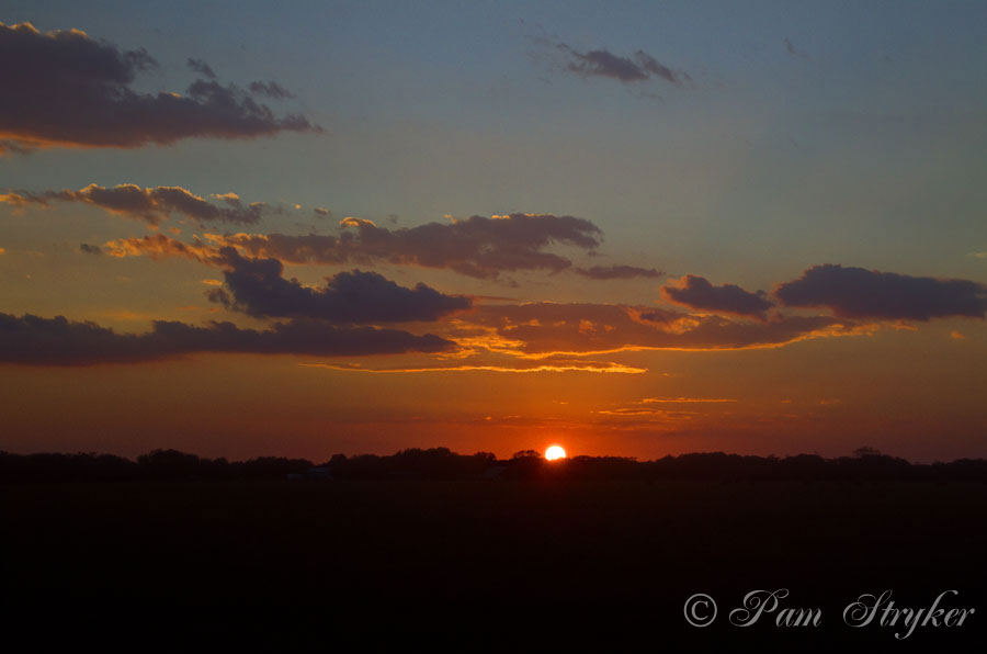 On the Back Roads of Texas 905