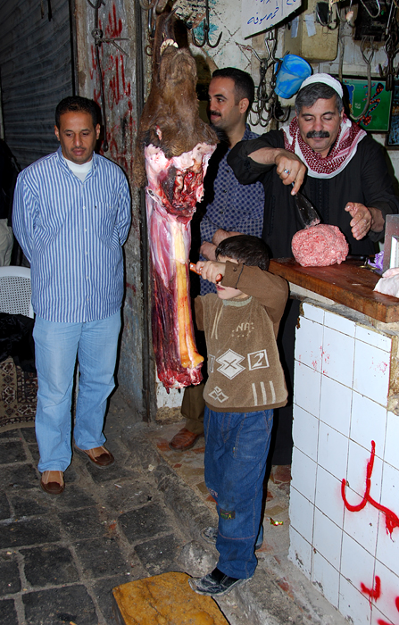 Carving Camel