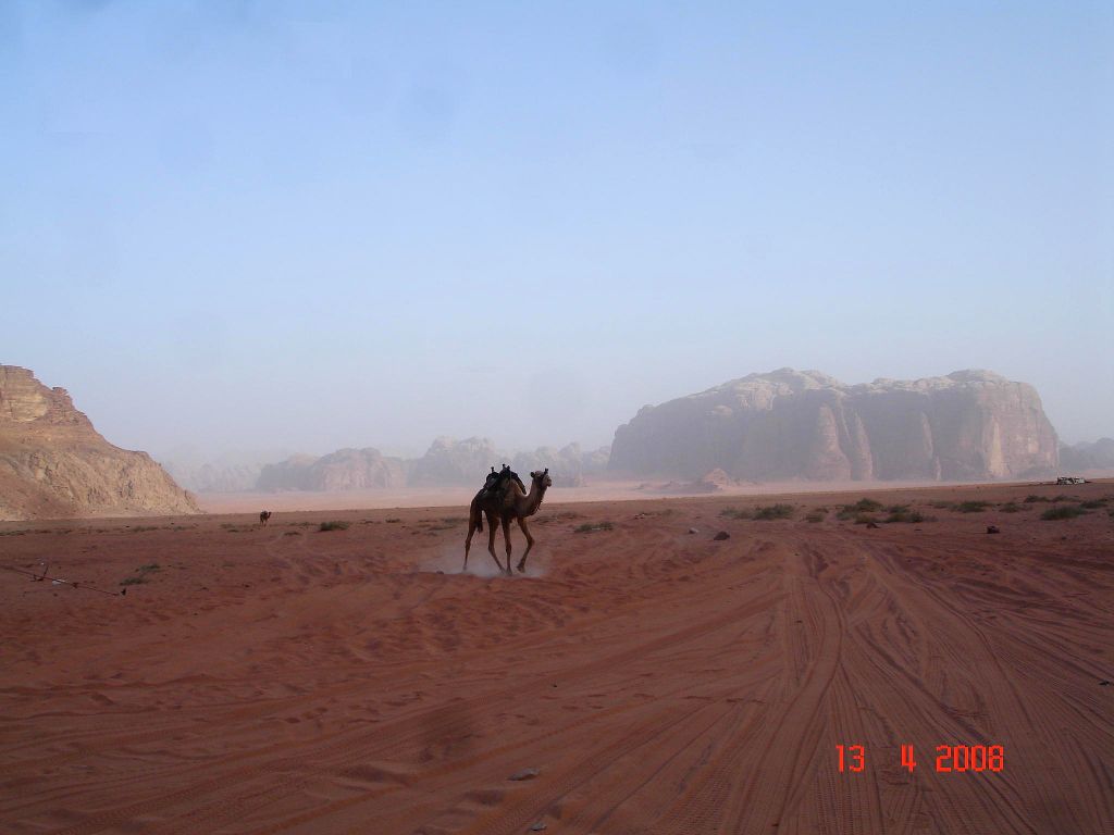 wadi3.jpg