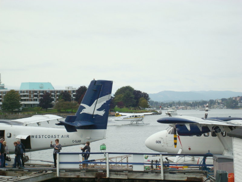 sDSC00061.JPG