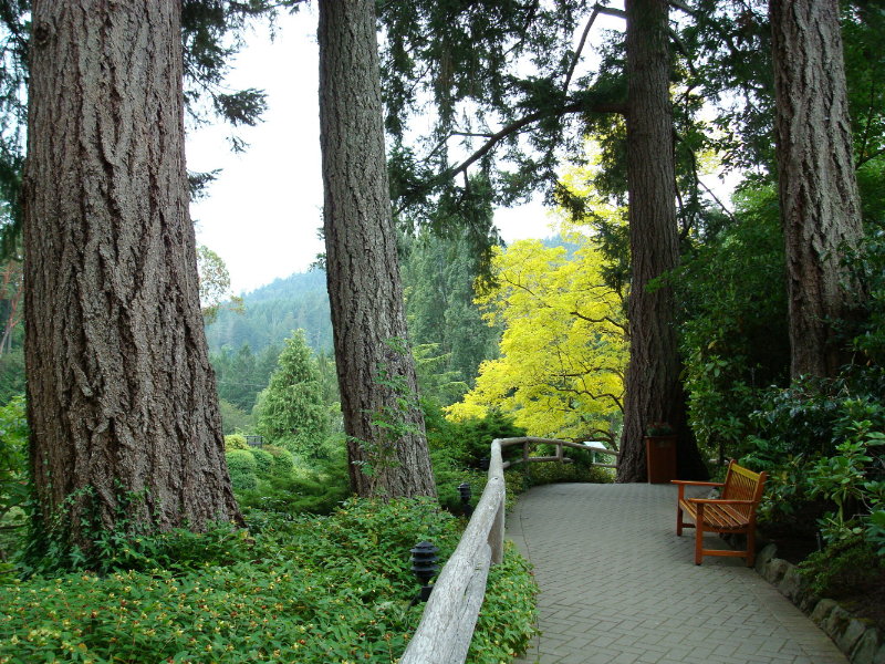 sDSC00212.JPG
