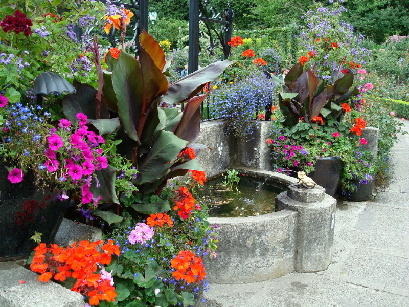 sDSC00260.JPG