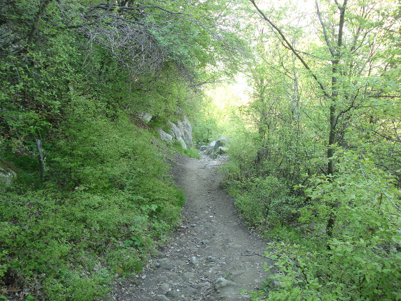 sDSC07305.JPG