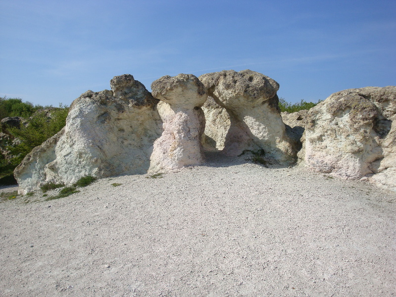 sDSC07312.JPG