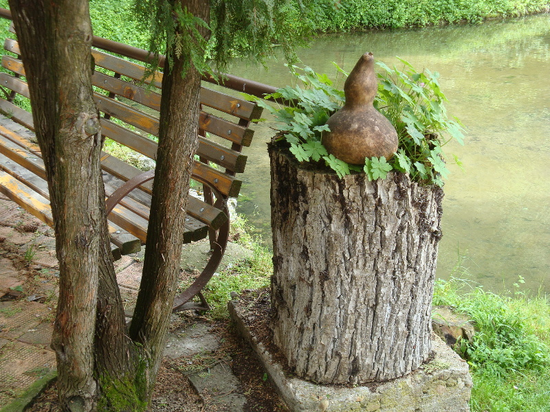 sDSC07721.JPG