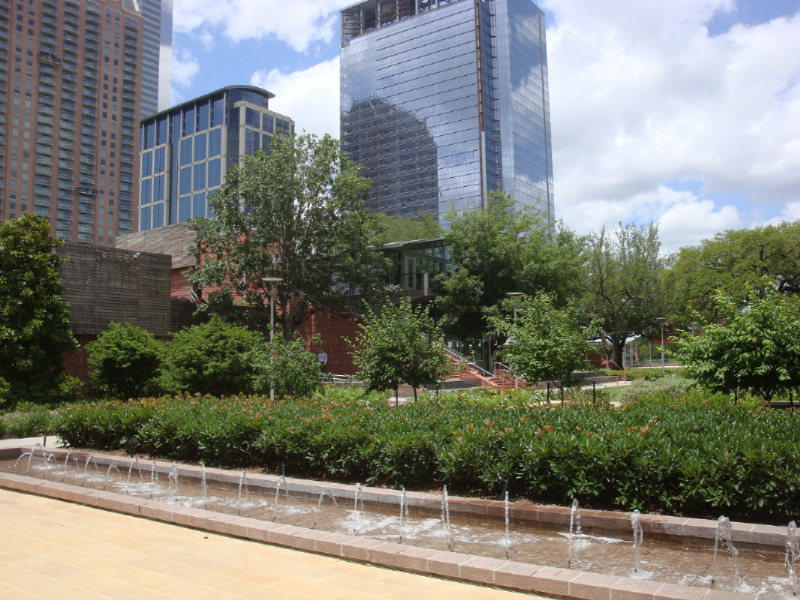 sDSC08055.JPG