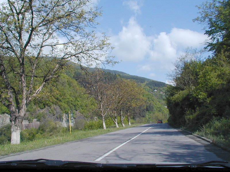 sP5040098.JPG