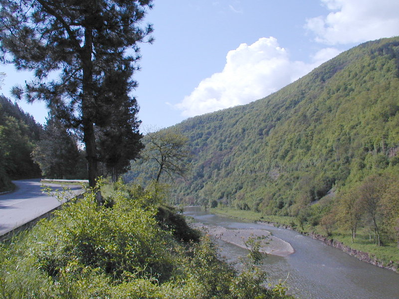 sP5040113.JPG