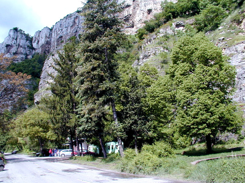 sP5040130.JPG