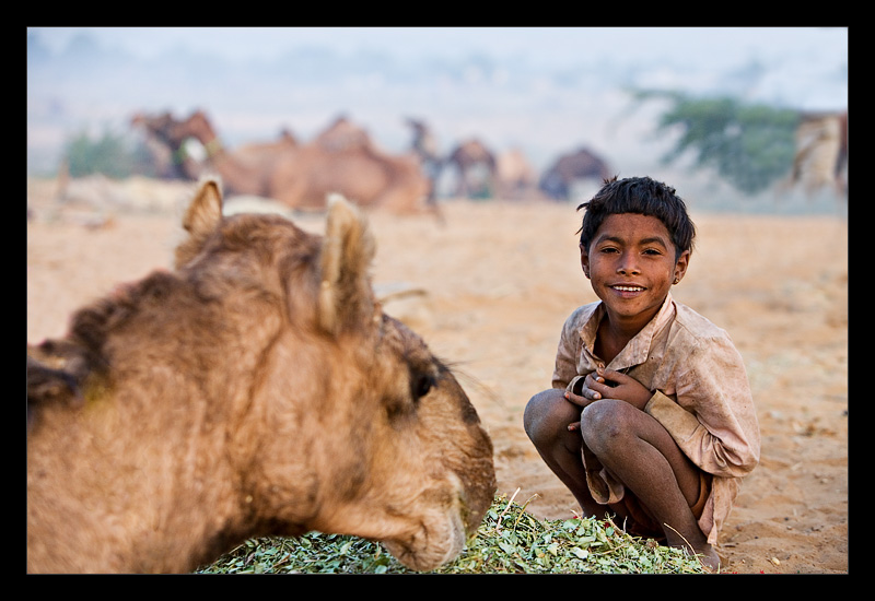 Boy Camel 01