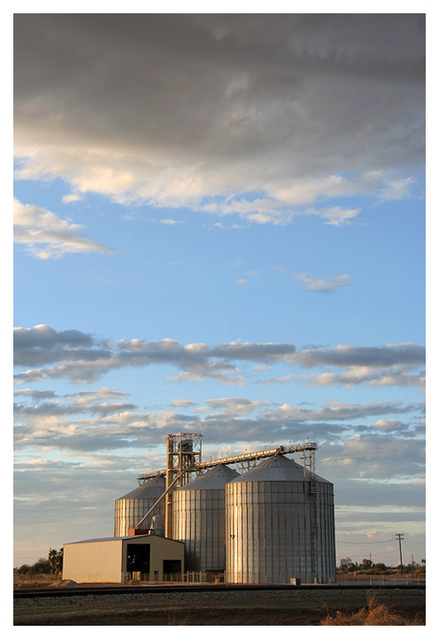 Agriculture on the Salton Sea