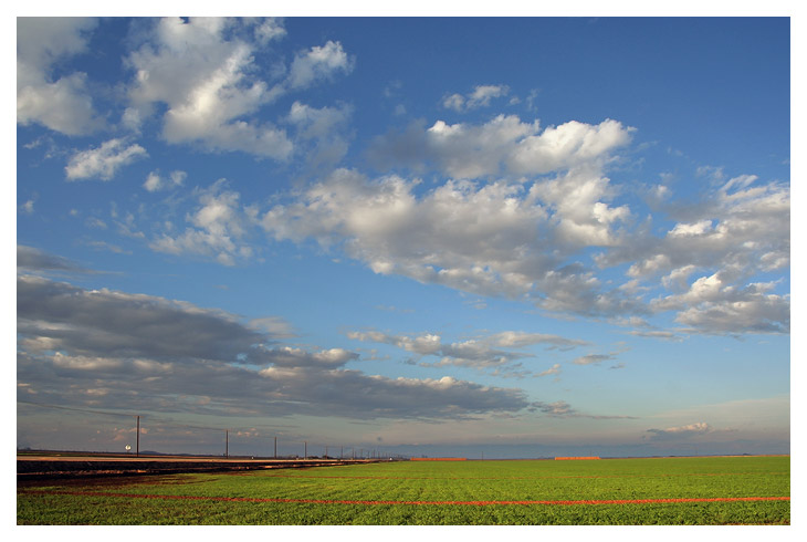 Farmland