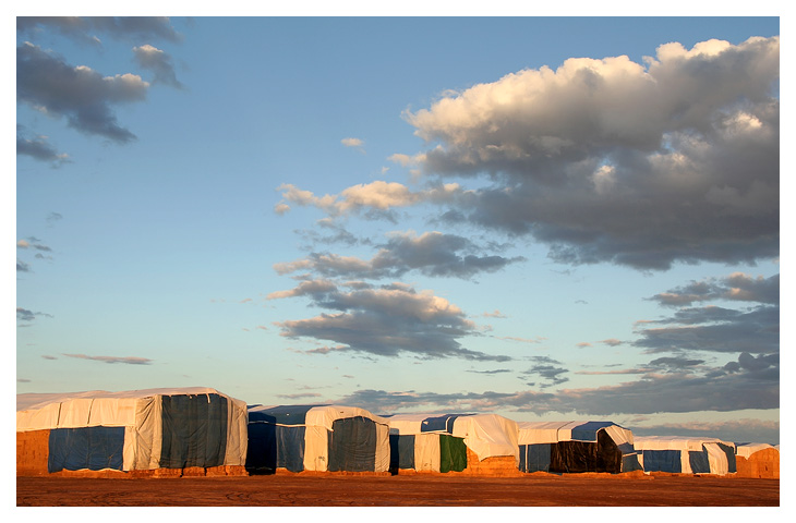 Hay Harvest