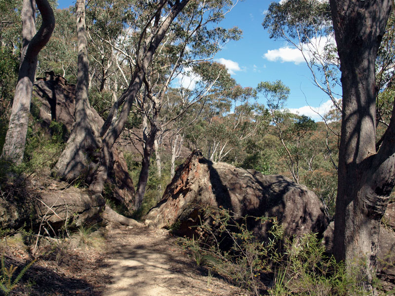 North Lawson Park