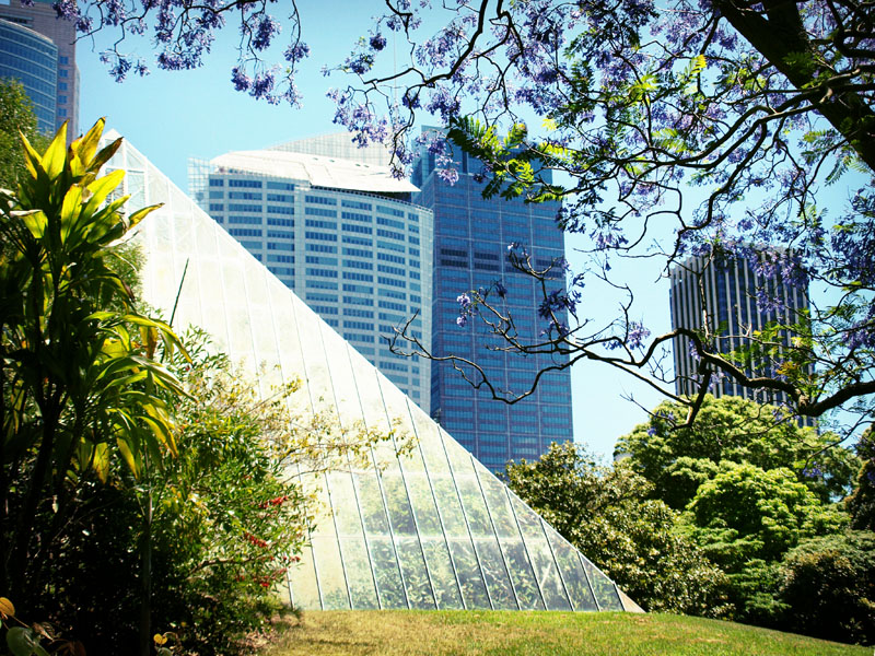 Macquarie Street Buildings  1