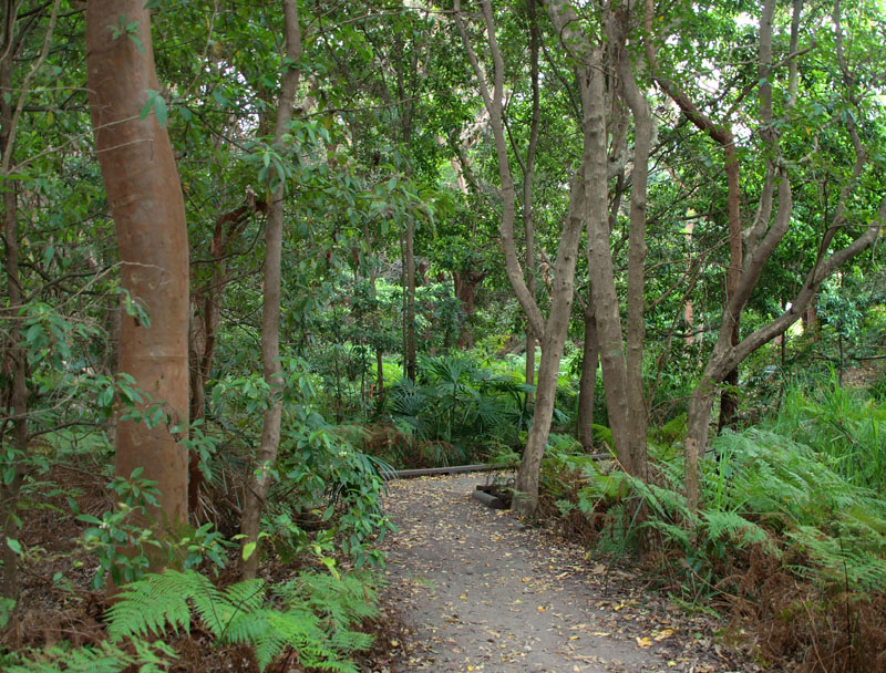 Gentle start to a bushwalk