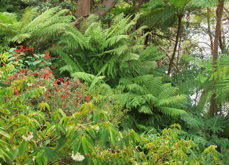 Lex and Ruby Grahams Garden