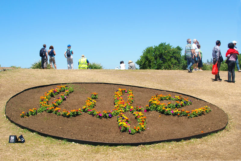 #59: Garden Mandala