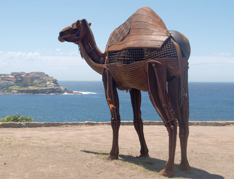 #34: The Adaptable Migrant