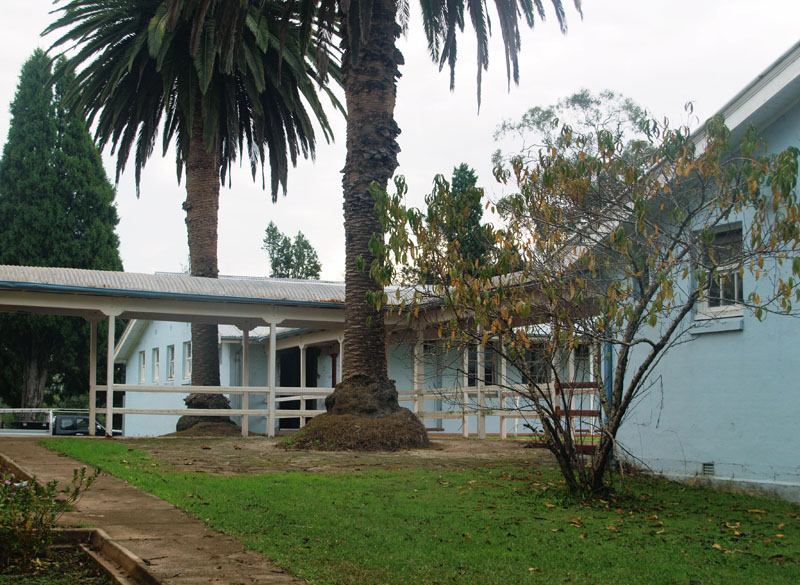 z5031549.jpg