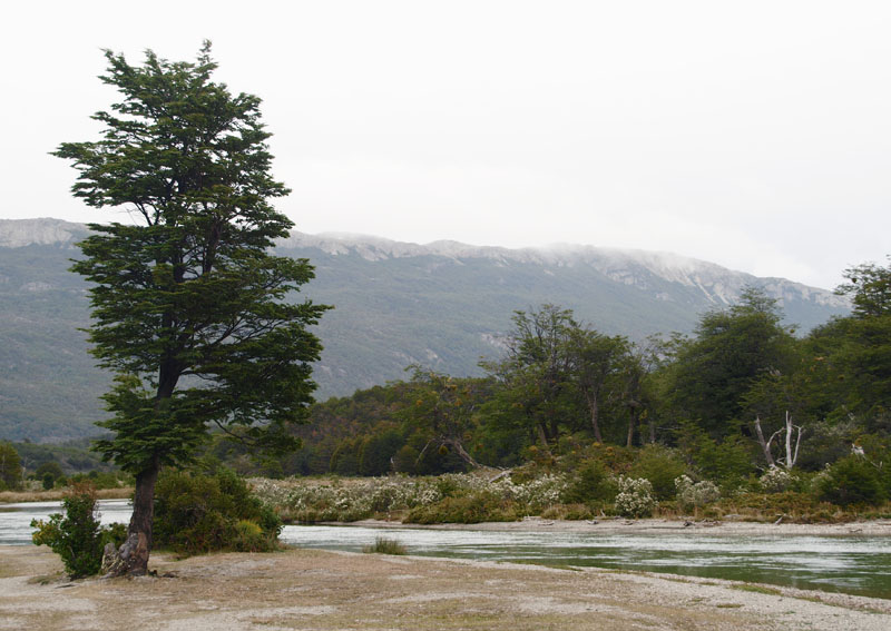 Lapataia River flows out of the lake here
