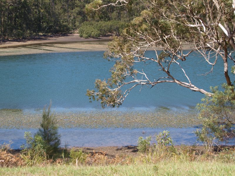 Wagonga Lake