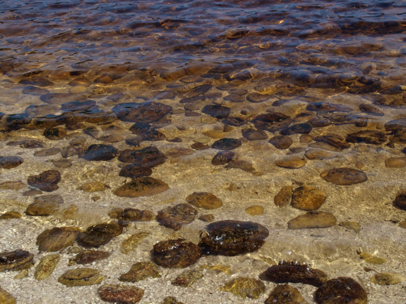 The water is this colour