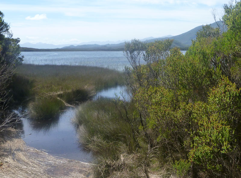 Melaleuca Lagoon
