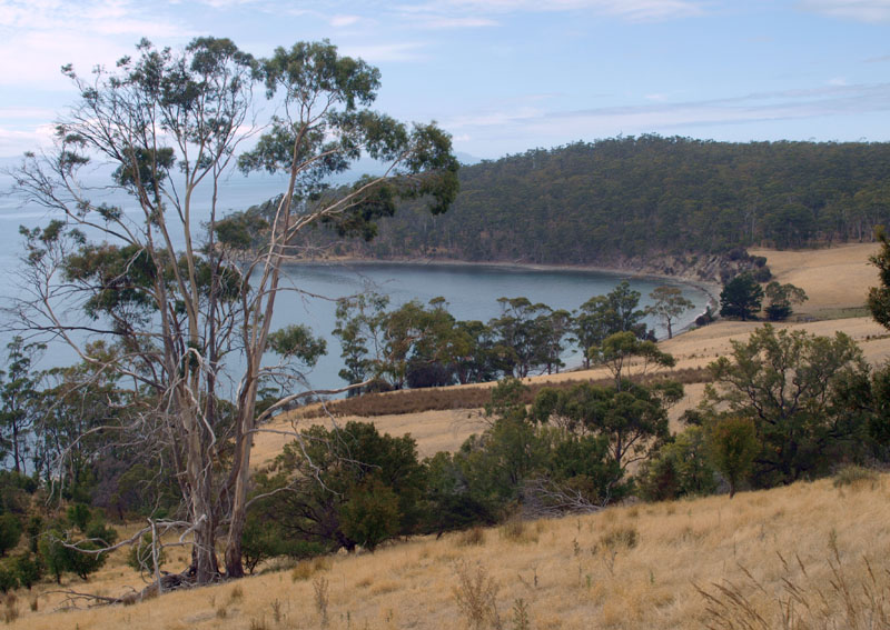 Bull Bay  1