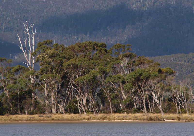 Across Cloudy Bay