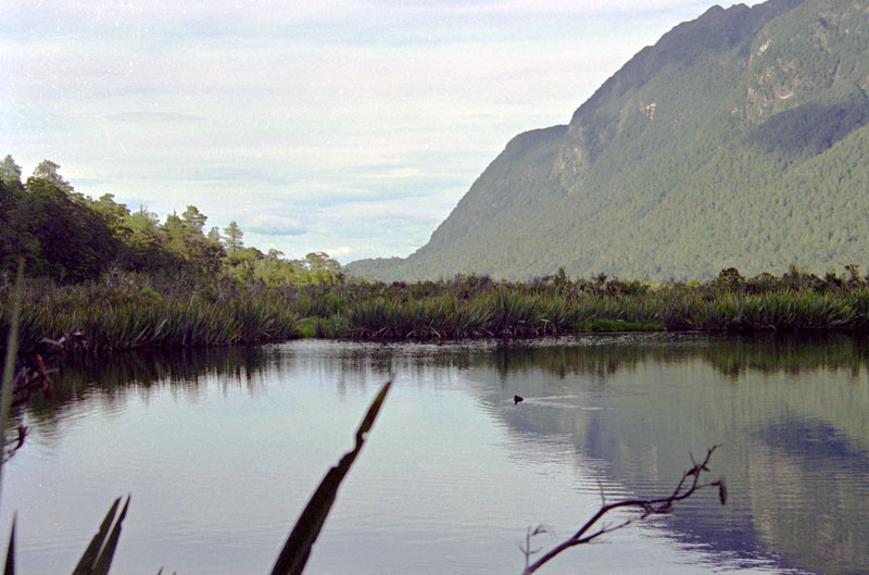 Mirror Lake