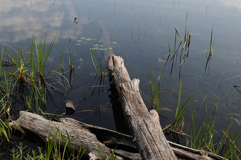 lac Solitaire.la Mauricie NP