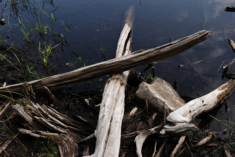 lac Solitaire.la Mauricie NP