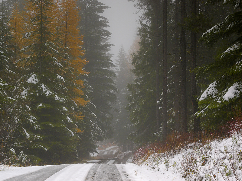 Gate into winter