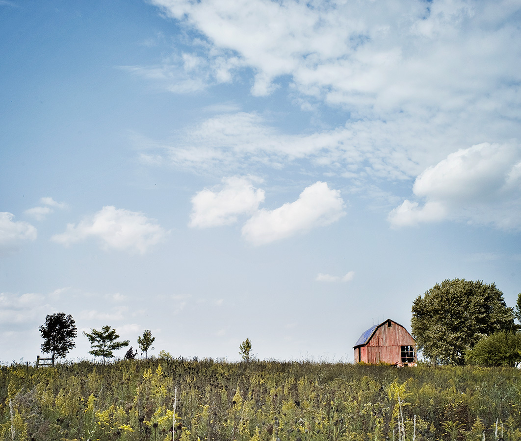 barn.jpg