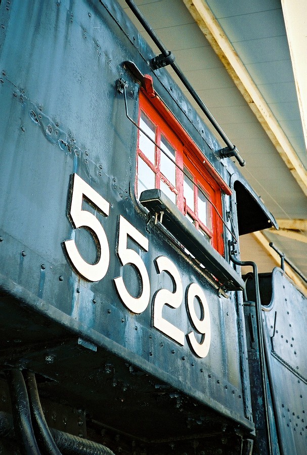 19.JPG