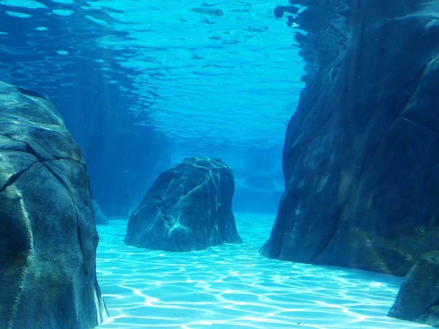 olympus_7120111.JPG