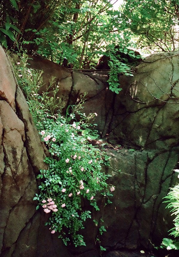 stlzoo03.JPG
