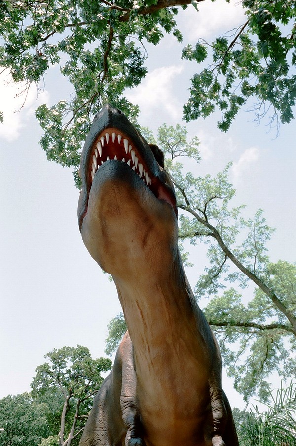 stlzoo14.JPG