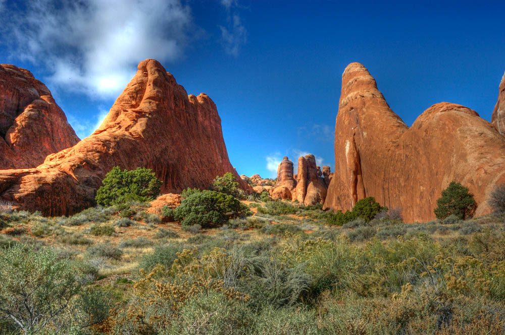 Devils Garden