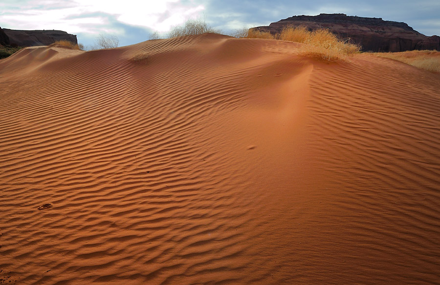 Sand Dunes