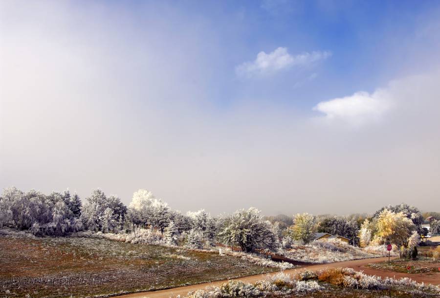 Morning Frost, Lifting