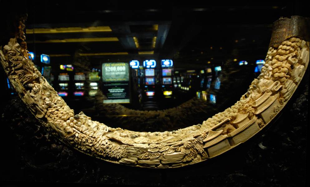 Mastodon Tusk