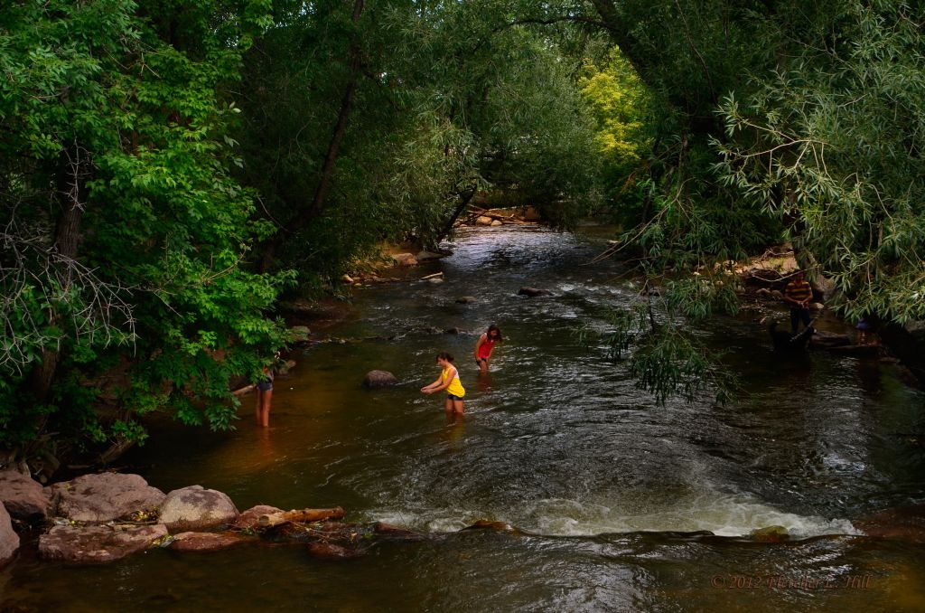 Cooling Off in South Boulder Creek