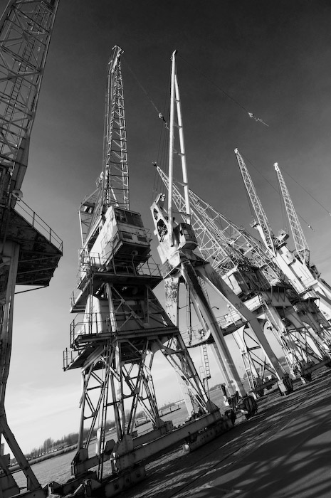 BJS-B&W-4.jpg