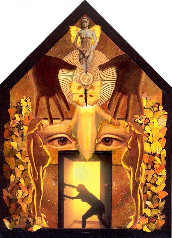 The Light of Transformation 
