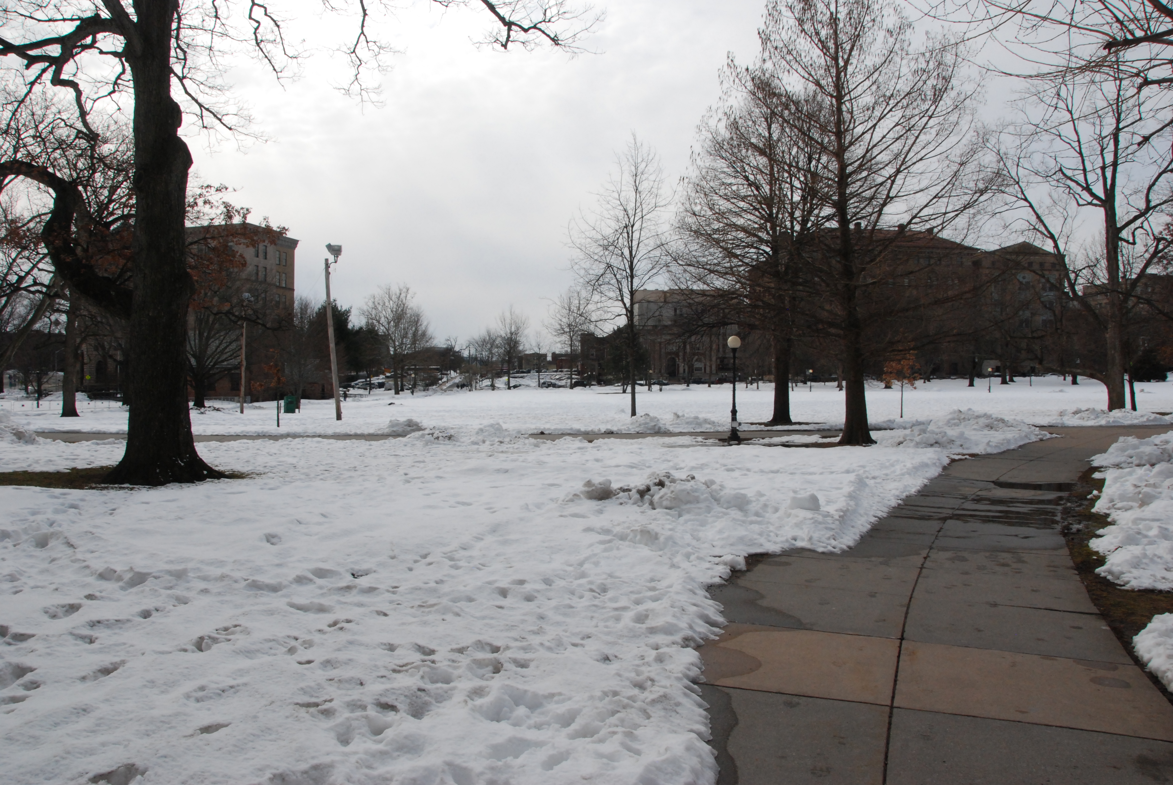 DSC_1946.JPG