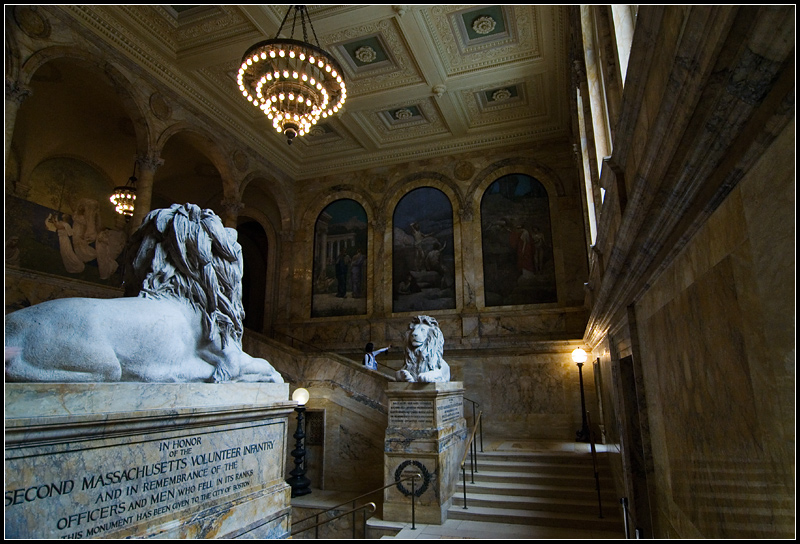 Library Lions I
