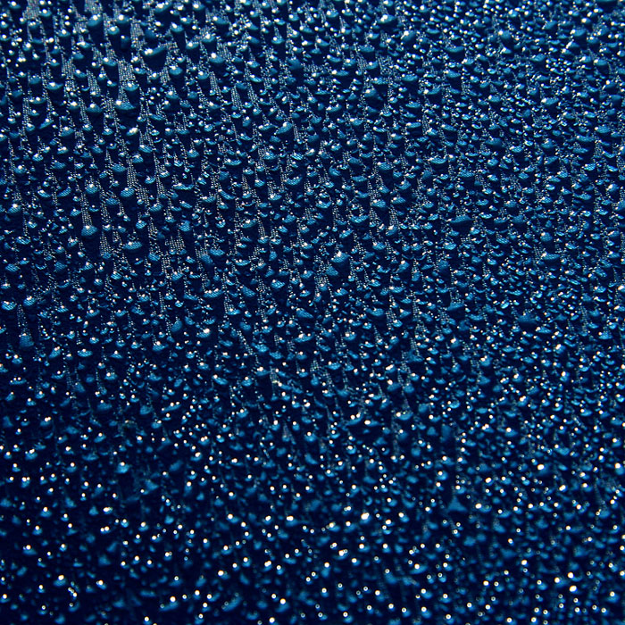 Multitude