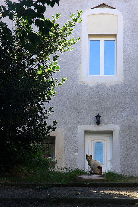 Chat de rencontre